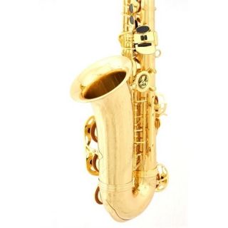 Sax Series 1 Alto Saxophone in A Midas Gold Lacquer Finish Selmer Sax 