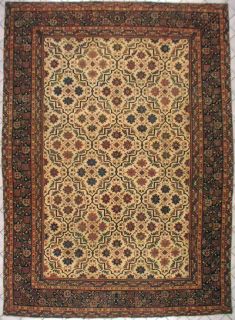 10x14 Ivory Antique 1890 Agra Oriental Hand Knotted Wool Area Rug 