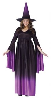 Magical Witch Adult Costume Plus Size Includes Hat Fnt
