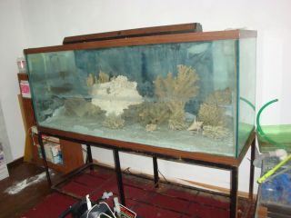 Glass Aquarium Fish Tank 210 Gallon Used 72 x 24 x 28 All Pumps 