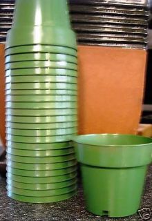 plastic pots amount 25 size 31 2 inch standard time