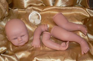 REBORN Kit RARE Hard to Find EDEN Vinyl Soft Baby Doll by artist 