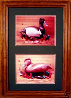 Ringneck Duck Decoy Photos From Ducks Unlimited Edition/Diving Duck 