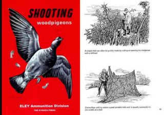 eley c1952 ammunition division shooting woodpigeons  11