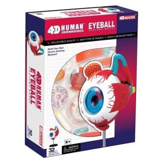 4D Puzzle Human Anatomy Series 3D Model Eye Eyeball Biology Medical 