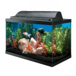 10 gallon fish tank aquarium with Hood, Lights Thermometer and Doble 