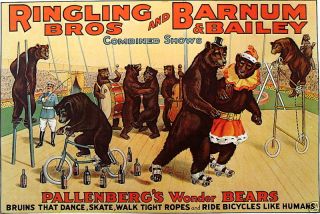 Barnum Bailey Dancing Bears Circus Poster Print 09