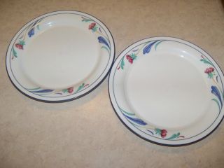 LENOX POPPIES ON bLUE for the blue 2pc salad desert plate md size lot 
