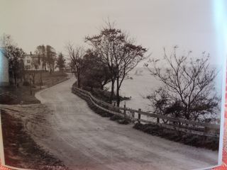 1906 Shore Road Bay Ridge Narrows Brooklyn NYC Photo