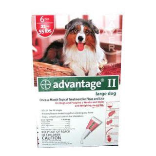 Bayer Advantage® II for Dogs Large Dog 21 55 lbs 4 Pack