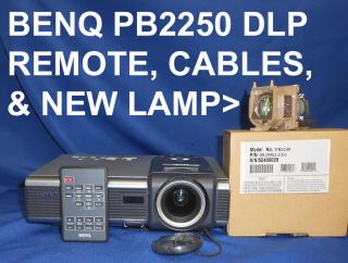 BenQ PB2250 DLP HD Home Theater Projector Ultra Portable Computer 