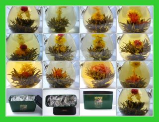 24 Organic Blooming Flower Green Tea Variety Gift Pack