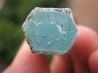 Green and Blue Beryl Crystal with Tourmaline China