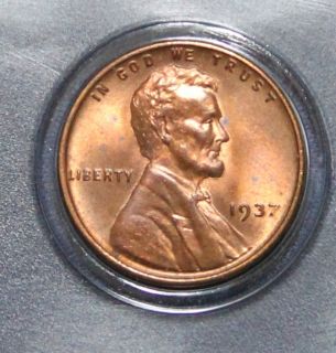   Coin Year Set Walking Half Washington Mercury Buffalo Wheat