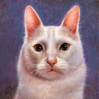   Oil CAT Portrait Painting TURKISH ANGORA Art on Canvas WHITE KITTEN