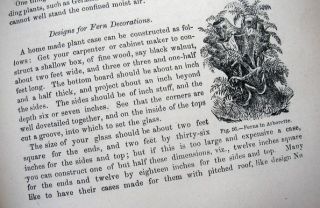 1873 Victorian Window Gardening Parlor Decoration Book Urns Ferns 
