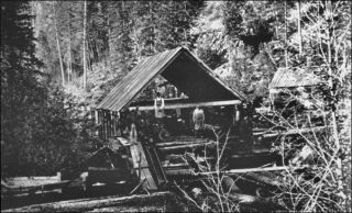 including big bay lumber company photo british columbia forest service