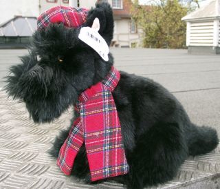 scottie dog black looking for a new home