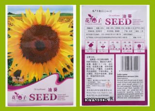 Oil Sunflower Mix Seeds Ornamental Flower Seed GARDEN15PCS 1 Package 