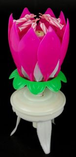 Spinning Musical Birthday Candle Flower Party Gift Sparkler Cake 