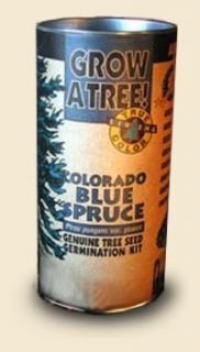 Colorado Blue Spruce Growing Tree Kit Grow Spruces from Seed Science 