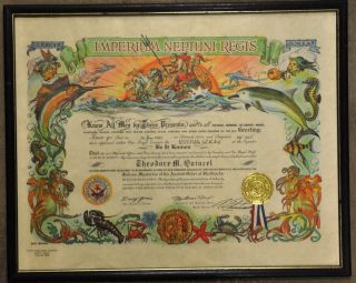 1985 USS Peleliu Sailors Shellback Certificate for Equator Crossing 