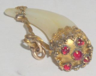 Antique MOP Tiger Lion Claw Gold Mount Pendant Fob Charm with Jewels