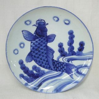 F026 Real Japanese OLD IMARI blue and white porcelain plate with carp 
