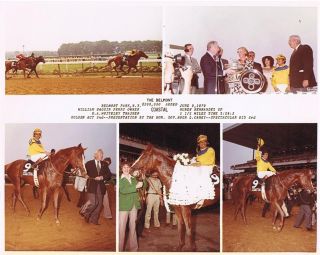 Coastal & Spectacular Bid 1979 Belmont Stakes Composite Photo
