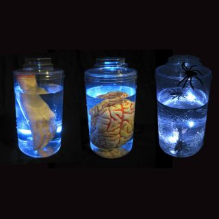    Mad Scientist Brain Hand Human Body Parts in Jars Jar Halloween Prop
