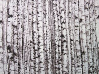 Birch Tree Trunks Bark Forest Landscape Medley Elizabeth Studio Fabric 