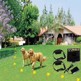 New Underground Electric Shock Collar Pet Fence for 2 Dogs