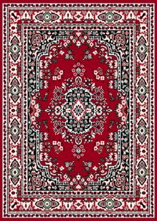 Traditional Red Border Persian Burgundy Area Rug Oriental Multi Color 