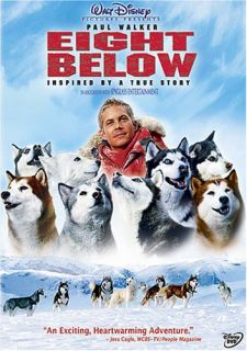 closet cleaning special eight below