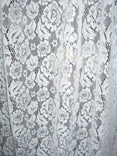   CHIC FRENCH DOOR COUNTRY NET FLORAL LACE DRAPES CURTAINS PAIR