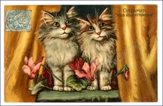 Boulanger Vintage Cat Postcard Lovely Cats Cyclamens