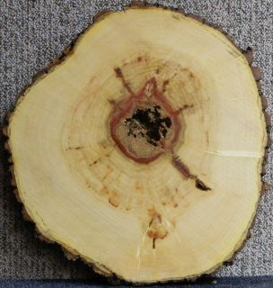 Red Flame Box Elder Wood Log Slice End Coffee Table Top Lumber Slab 