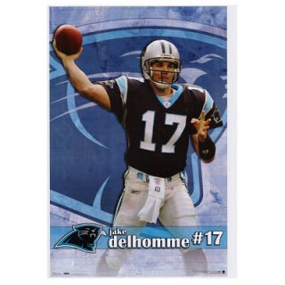 Jake Delhomme POSTER Carolina Panthers NFL Football NEW