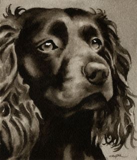 Boykin Spaniel Watercolor Dog Art 13 x 17 Signed DJR