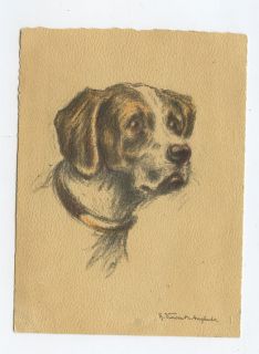 Art Anglade Braque Saint Germain Dog Breed Portrait Original Old c1944 
