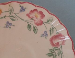   STAFFORDSHIRE China Vintage English Tableware BRIAR ROSE Teacup SAUCER