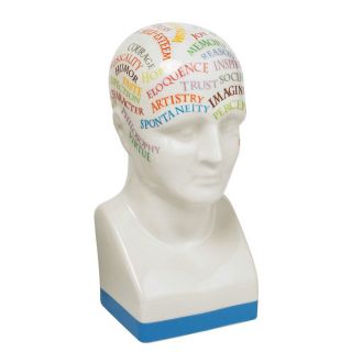 cool character phrenology head from brookstone phrenology termed the 
