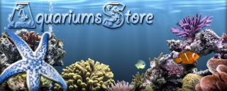 Established Aquarium Shop Fish Tank Heater Filter Decoration Business 