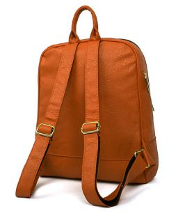 Brown Backpack Style Gold Zipper Simple Design