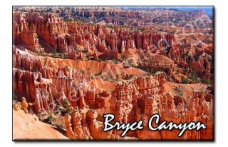 Bryce Canyon National Park Utah Souvenir Magnet 2