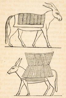   Engraving Egyptian Donkey Pannier Saddle Bag Wicker Saddle Bag Burden
