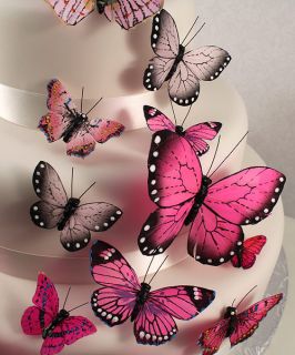   Cake Decoratiing Pink Butterflies Wedding Sets   Assorted sizes