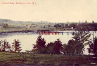 summitt lake burlington flats ny