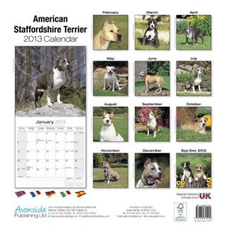 American Staffordshire Terrier 2013 Calendar 10007 13