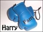 Baby Blue Mini Boxing Gloves Printed with Boys Names